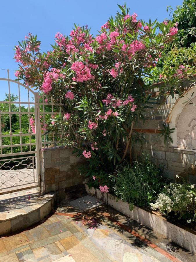 Gemuetliches Appartement In Ano Poli Thessaloníki Luaran gambar